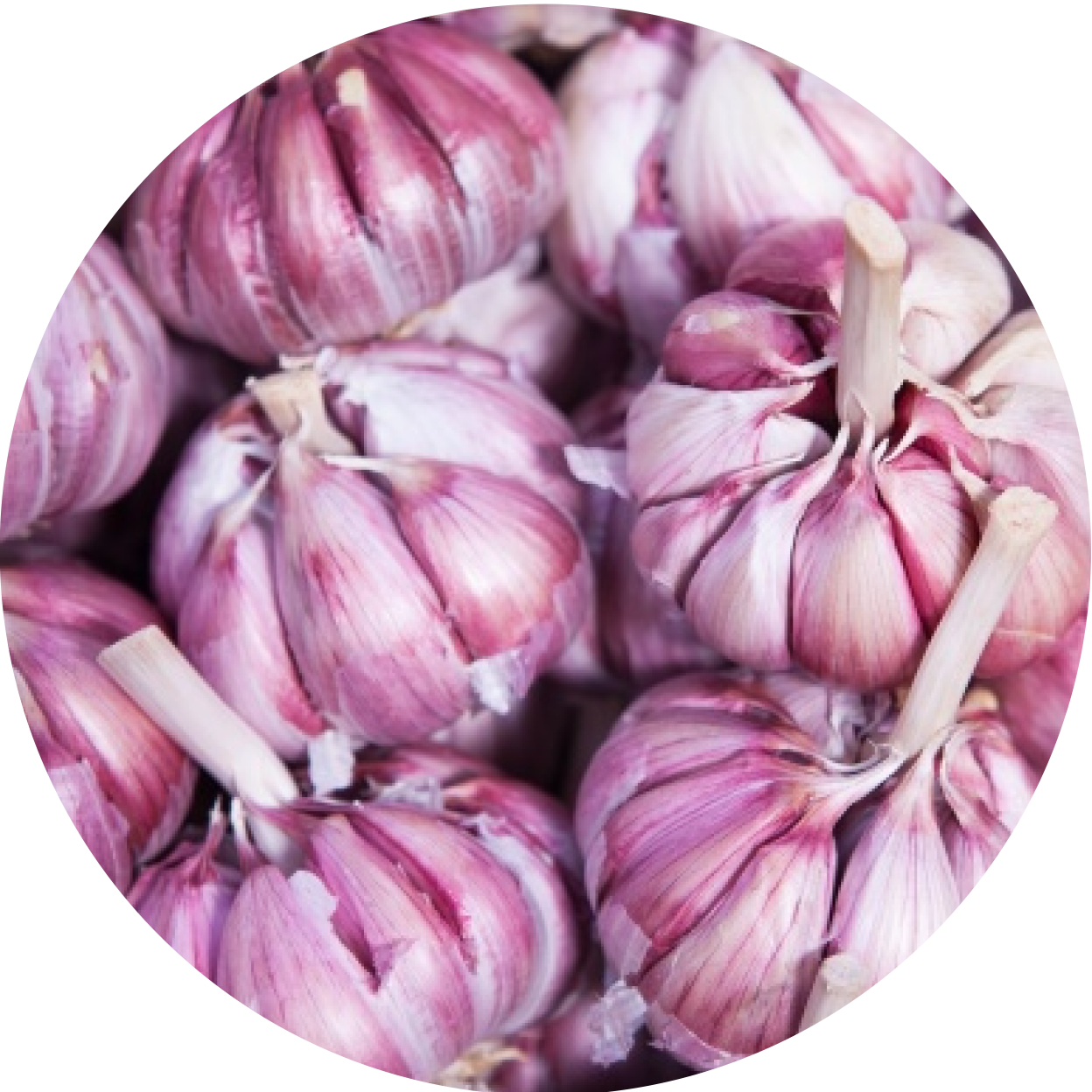 Garlic - 6 Natural Pain Relievers You Can Try At Home