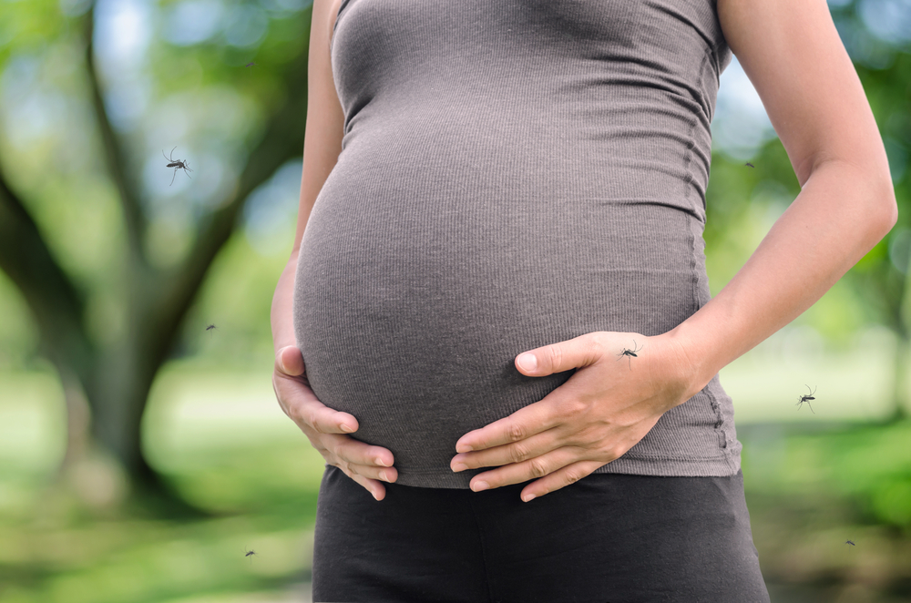 Dengue Fever in Pregnancy-Watsons health